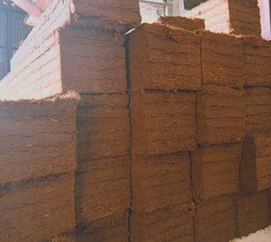 coco-coir-naked-slap