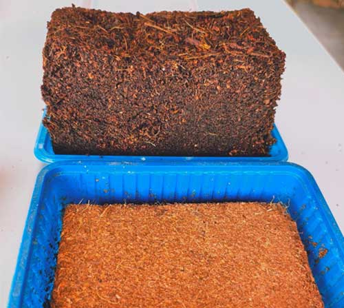 Berri Coir Production Facility 1