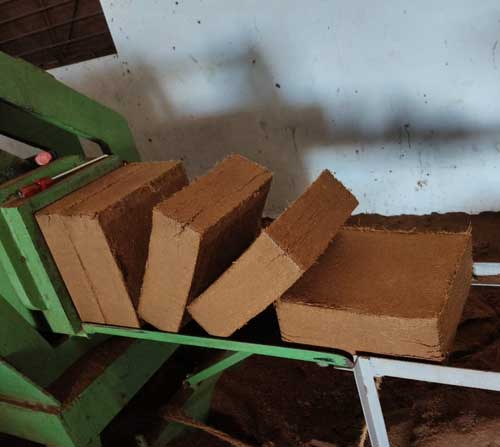 Berri Coir Production Facility 2