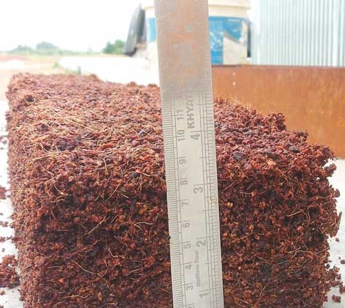 Berri Coir Production Facility 4